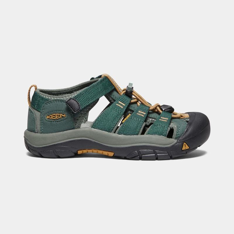 Keen サンダル | キーン ニュー ポート h2 サンダル キッズ 深い緑 | Keen Newport H2 | 593120-NMI